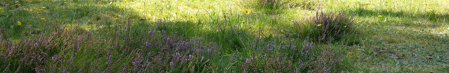 Naturgrund